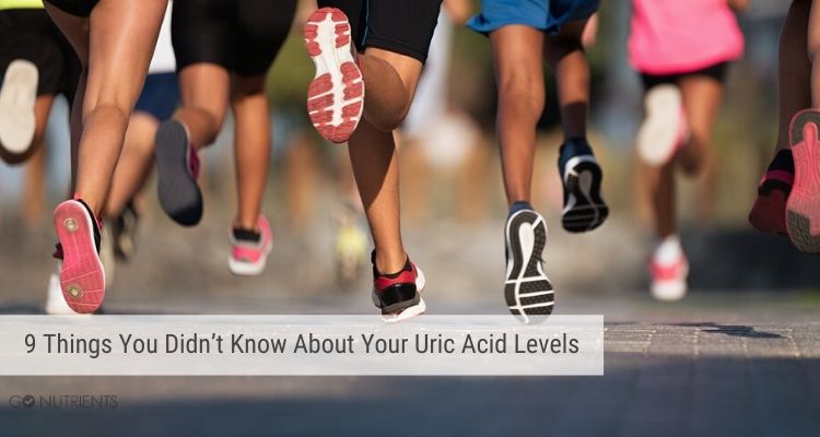 Uric Acid Levels: 9 Important Things You Need To Know - Go Nutrients Blog