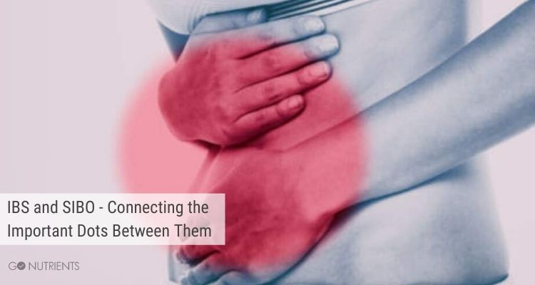 IBS and SIBO - Connecting the Important Dots Between Them
Female holding her abdomen with a red blurred circle covering her hands to indicate pain. 