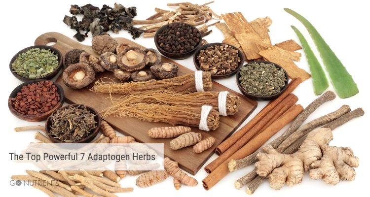 Top 7 Powerful Adaptogen Herbs