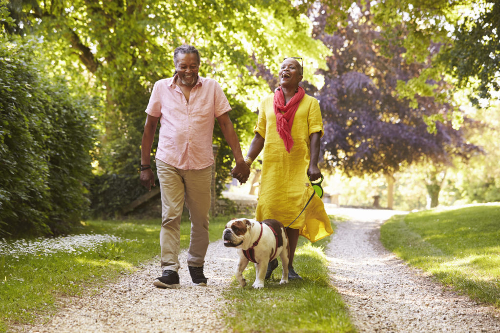 Senior Couple Walking With Pet Bulldog In Countryside soaking up the vitamin d rich sun rays. 