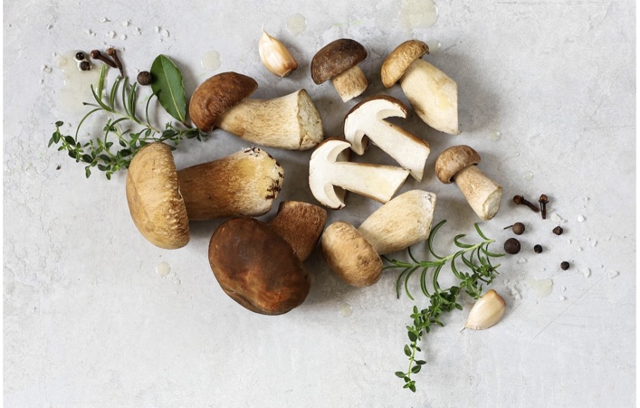 Wild mushrooms with garlic cloves and fresh thyme. 