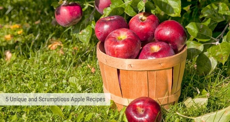 5 Unique and Scrumptious Apple Recipes