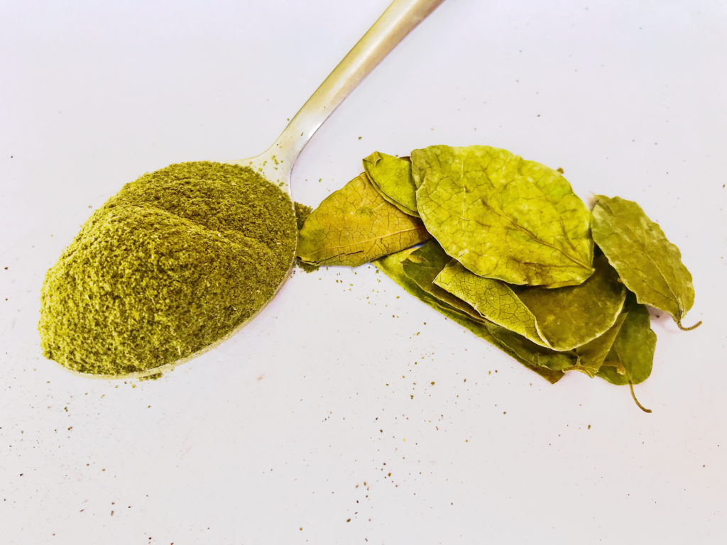 Dried leaves and powder of the leaves of Gymnema sylvestre plant