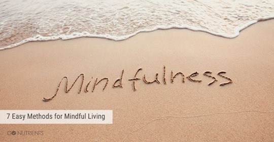 Mindfulness, Every Day, Every Way