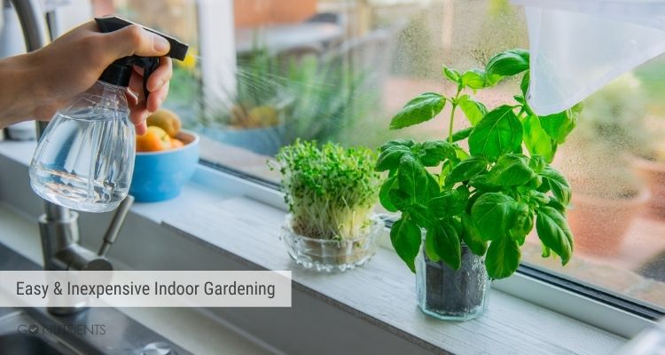 Easy Indoor Gardening for Cooler Months 