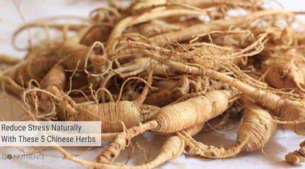 5 Chinese Herbs