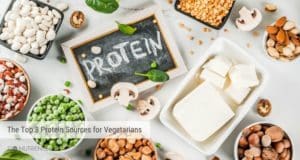 top 8 protein sources for vegetarians