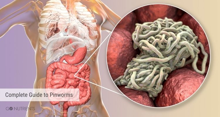Complete guide to pinworms 