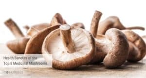 Medicinal mushrooms