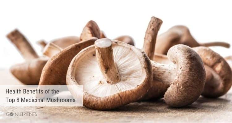 Mushrooms - Health Benefits of the top 8 medicinal mushrooms 
