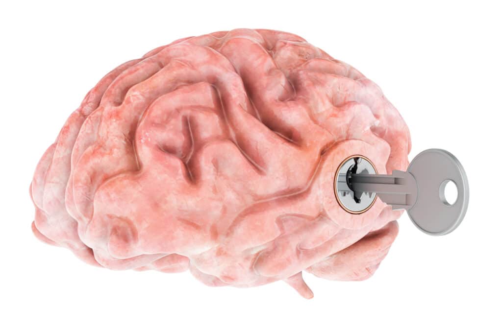 Human brain with key. Research and diagnosis concept. 3D rendering isolated on white background